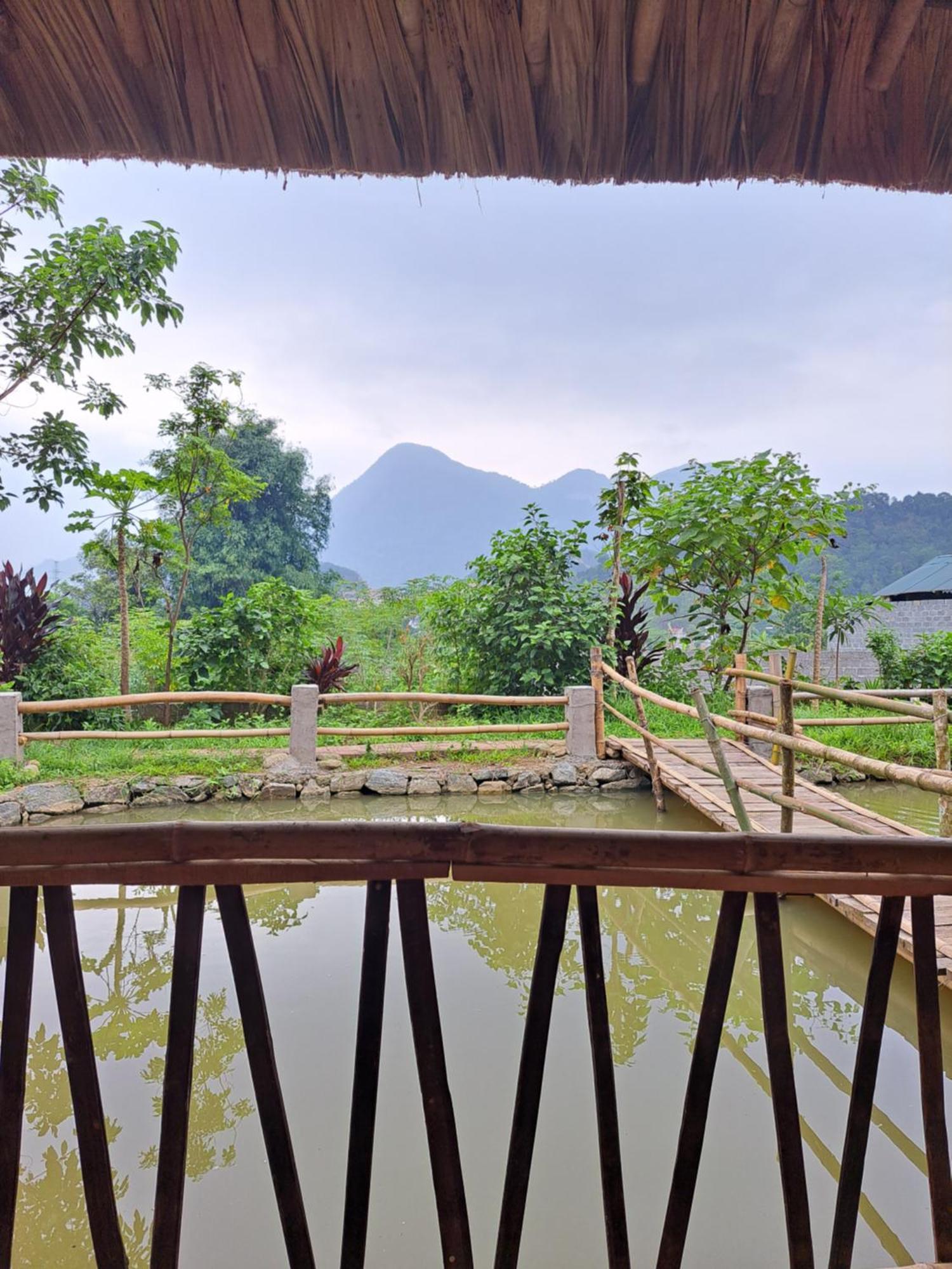 Homestay Field - Bungalow, Ha Giang Loop Tour, Motorbikes Rental Ngoại thất bức ảnh