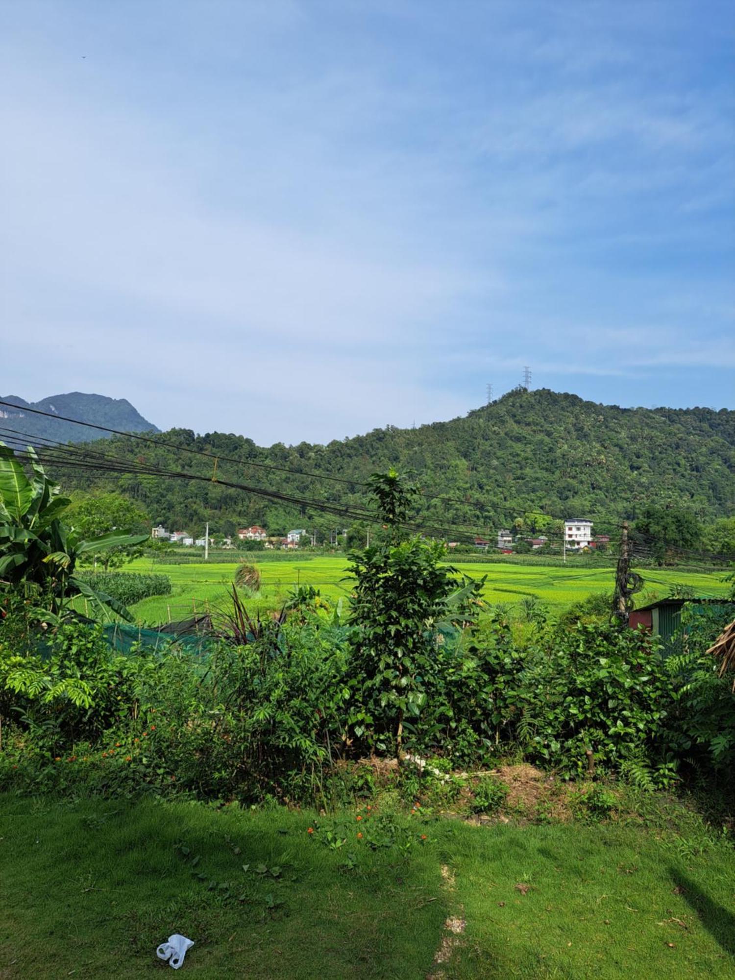 Homestay Field - Bungalow, Ha Giang Loop Tour, Motorbikes Rental Ngoại thất bức ảnh