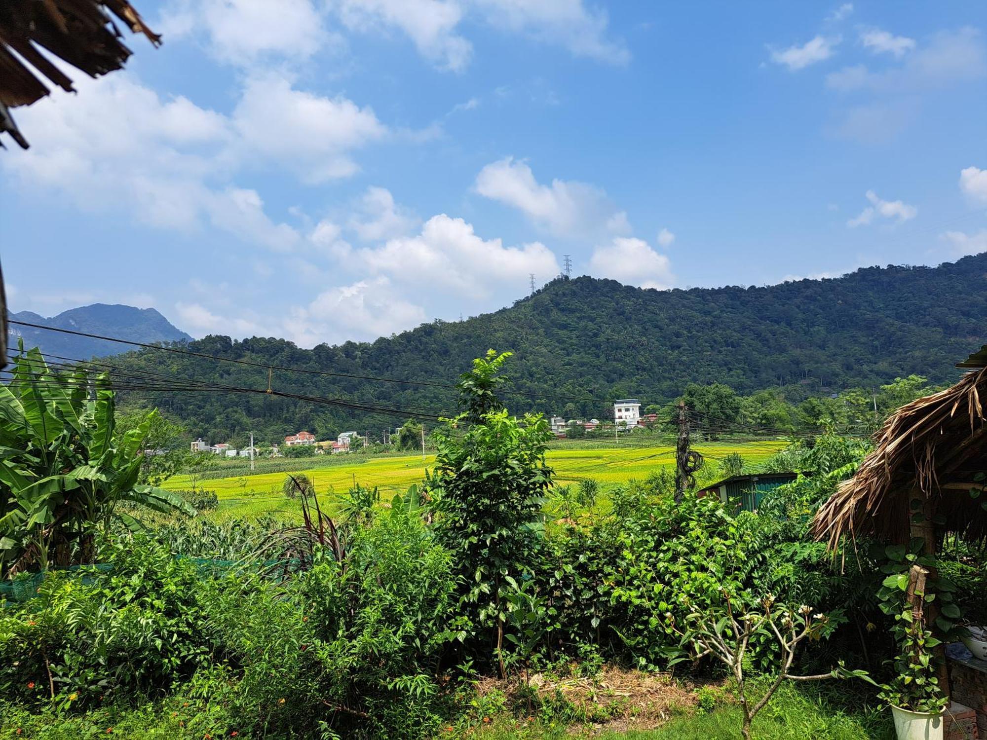 Homestay Field - Bungalow, Ha Giang Loop Tour, Motorbikes Rental Ngoại thất bức ảnh