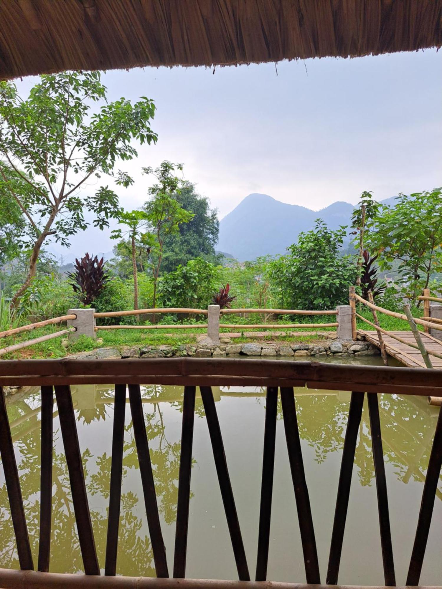 Homestay Field - Bungalow, Ha Giang Loop Tour, Motorbikes Rental Ngoại thất bức ảnh