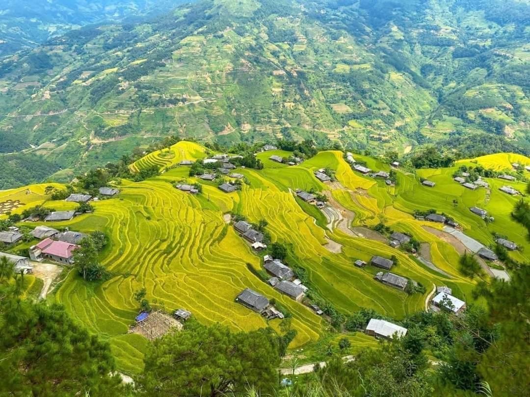 Homestay Field - Bungalow, Ha Giang Loop Tour, Motorbikes Rental Ngoại thất bức ảnh